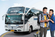 Jadwal dan Harga Tiket Bus Damri Jakarta-Palembang, Info Jadwal Hari serta Jam Berangkat dari Jakarta dan Palembang