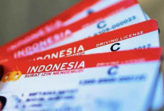 JKN Tak Aktif Saat Pengurusan SIM, Ini Solusi Mudahnya, Cek Caranya Disini