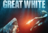 Sinopsis Bioskop Trans TV Great White (2021) Hari Ini 14 September 2024 Dibintangi Katrina Bowden: Teror Hiu di Laut Lepas