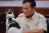 Siapa Bobby Kartanegara? Kucing Kesayangan Prabowo Subianto yang kini Dijuluki Penguasa Istana Negara Ternyata Berasal dari Kucing Jalanan